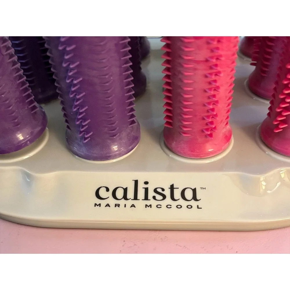 NWOT Calista Maria McCool Ion Hot Rollers Set 12 Rollers Case Clips Manual